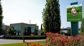 Montecavolo plant